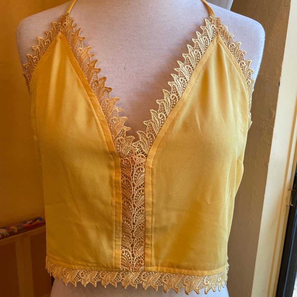 Cropped top NWT